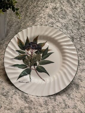 Royal Patritian Fine Bone China Botanical Serve Plate 8” NWT England